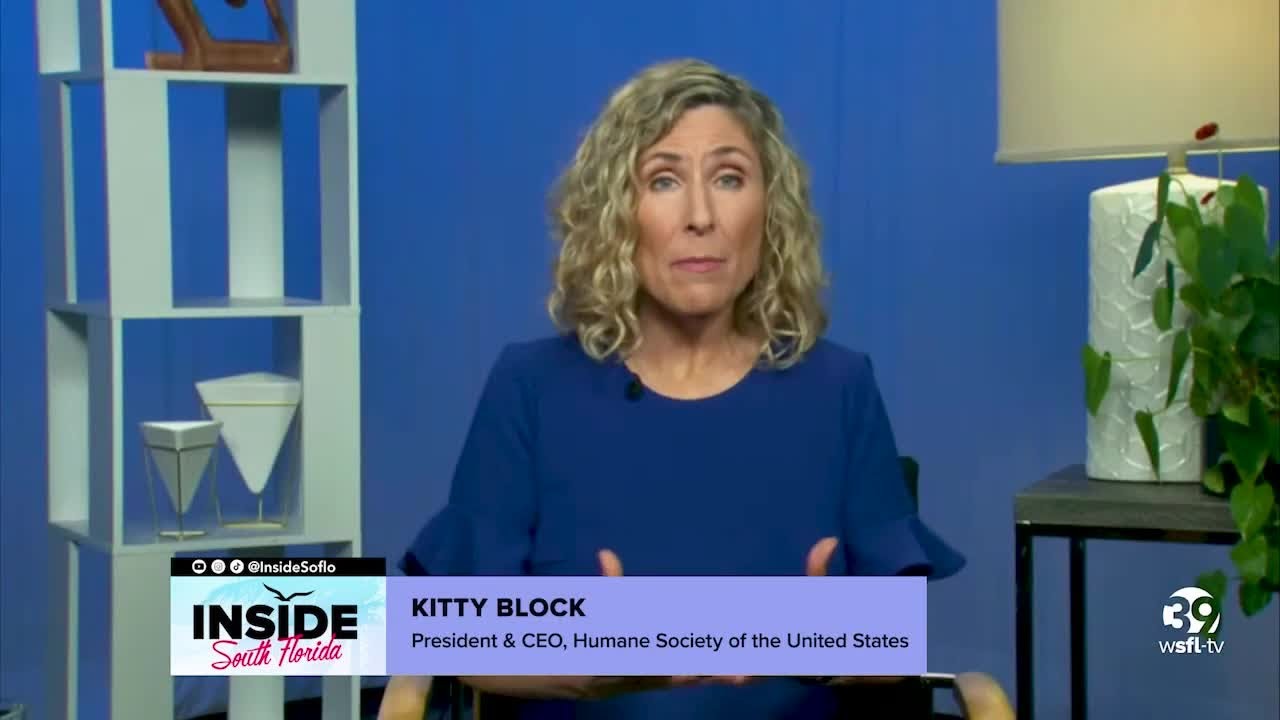 How inflation effects pet care