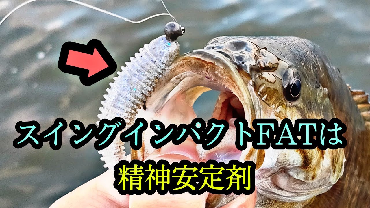 スイングインパクトファットで荒川釣行 秋ヶ瀬取水堰で小バスを釣るだけの動画 Youtube スイングインパクトファットで荒川釣行 秋ヶ瀬取水堰で小バスを釣るだけの動画 Youtube