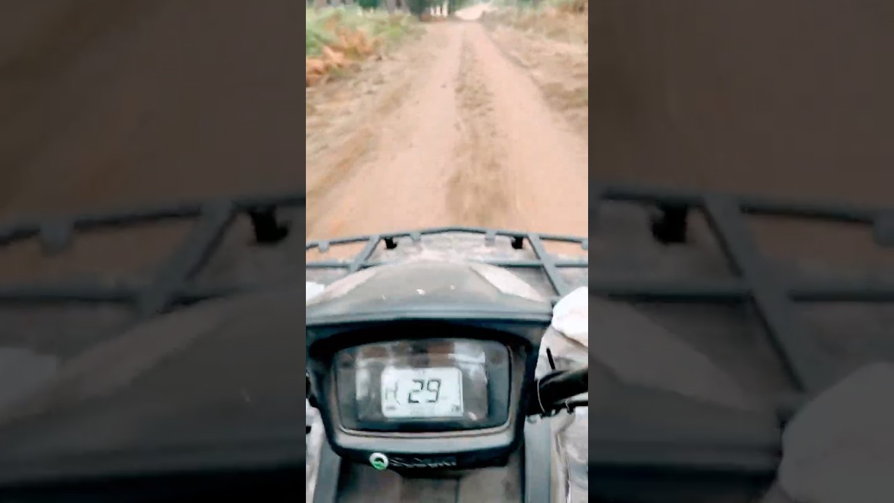 Clearing the track of stones and debris with Suzuki King Quad and 🌳