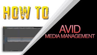 HOW TO AVID IMPORT & LOOK AT AVID MEDIA STRUCTURE
