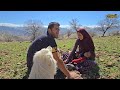 Unveiling the story of nomadic love:Ali's family,in the embrace of love,happiness and gift of life