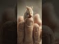 SO CUTE little hamster#shorts