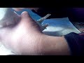 Как изолировать голову попугайчика салфеточной бумагой для проведения лечебных процедур на ножках