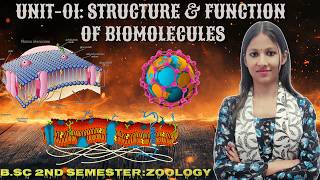#4 UNIT 2| Enzyme action & Regulation | Enzymes kinetics basic intro