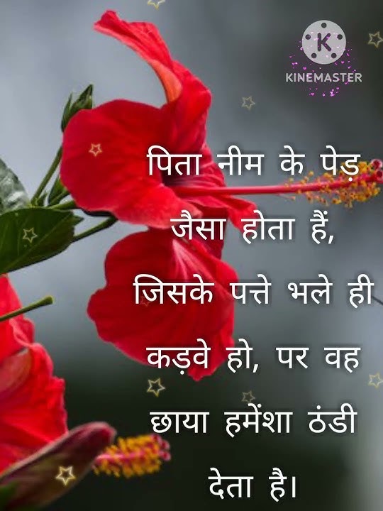 कड़वा सच #best motivational suvichar #status /quotes /thought /motivational /shayari /shorts/facts