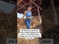 Ref:LvZDGkrDNfg Agricultrice celibataires 17 #agricultrice #agriculture #tracteur #campagnes #recolte #celibataires