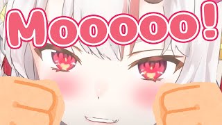 Ojou Slamming Desk Kun