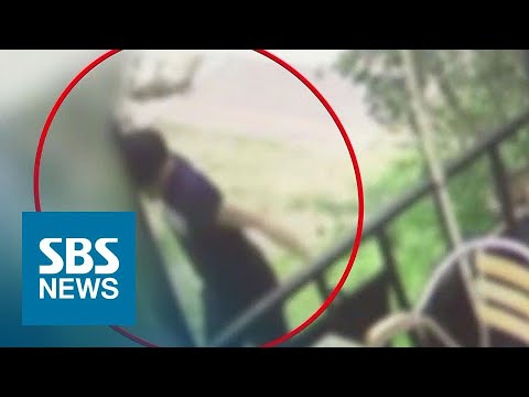 &amp;#39;고양이 살해&amp;#39; 30대, 징역 6개월…이례적 중형 이유는? / SBS