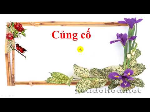 Video HDHT lớp 2 môn toán, Bài: Tìm số thừa số của phép nhân