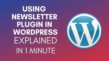 How To Use Newsletter Plugin In WordPress (2025)