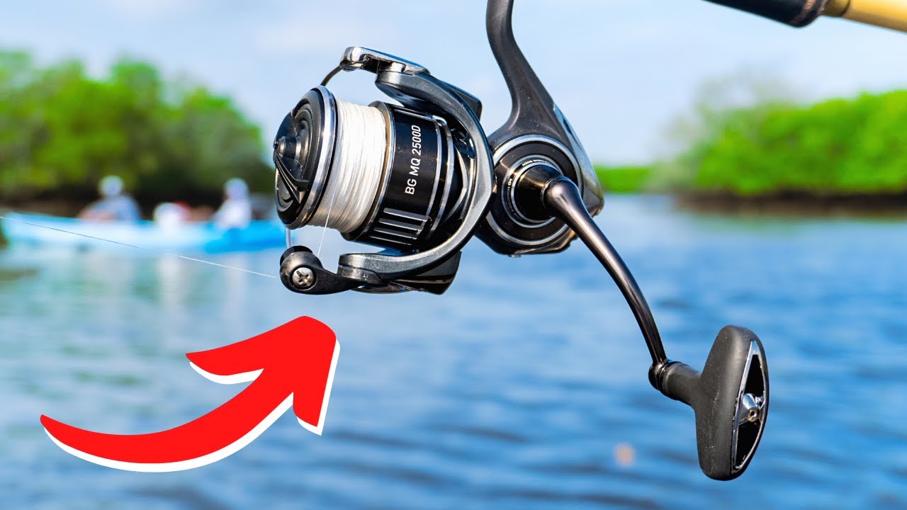 Best Spinning Reel for $200 in 2024