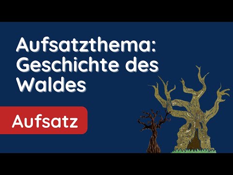 Video: Wie Man Einen Wald In Einem Aufsatz Beschreibt