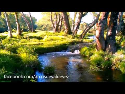 Primavera no Seixal de Gondoriz - Arcos de Valdevez