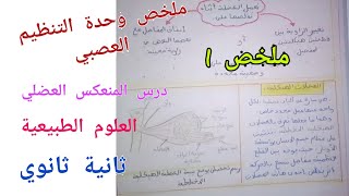 ملخص وحدة التنظيم العصبي (درس المنعكس العضلي)للسنة الثانية ثانوي علوم تجريبية (رقم1)