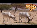 Addax Exhibit Speed Build - Zoo Tycoon 2