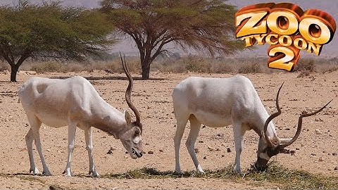 Addax Exhibit Speed Build - Zoo Tycoon 2