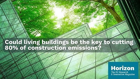 From mushrooms to new architecture: the rise of living, self-healing buildings