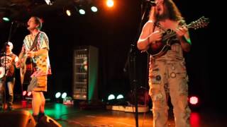 hayseed dixie live @ king georges hall Blackburn 3rd febuary 2015