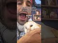 Day 20 of trying to be the most Followed owl on YouTube 💖🦉p2 #loveshorts #cuteshorts #petsvlog