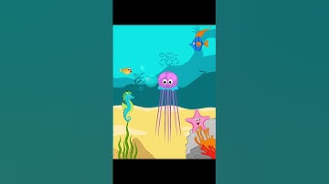 Jellyfish animation