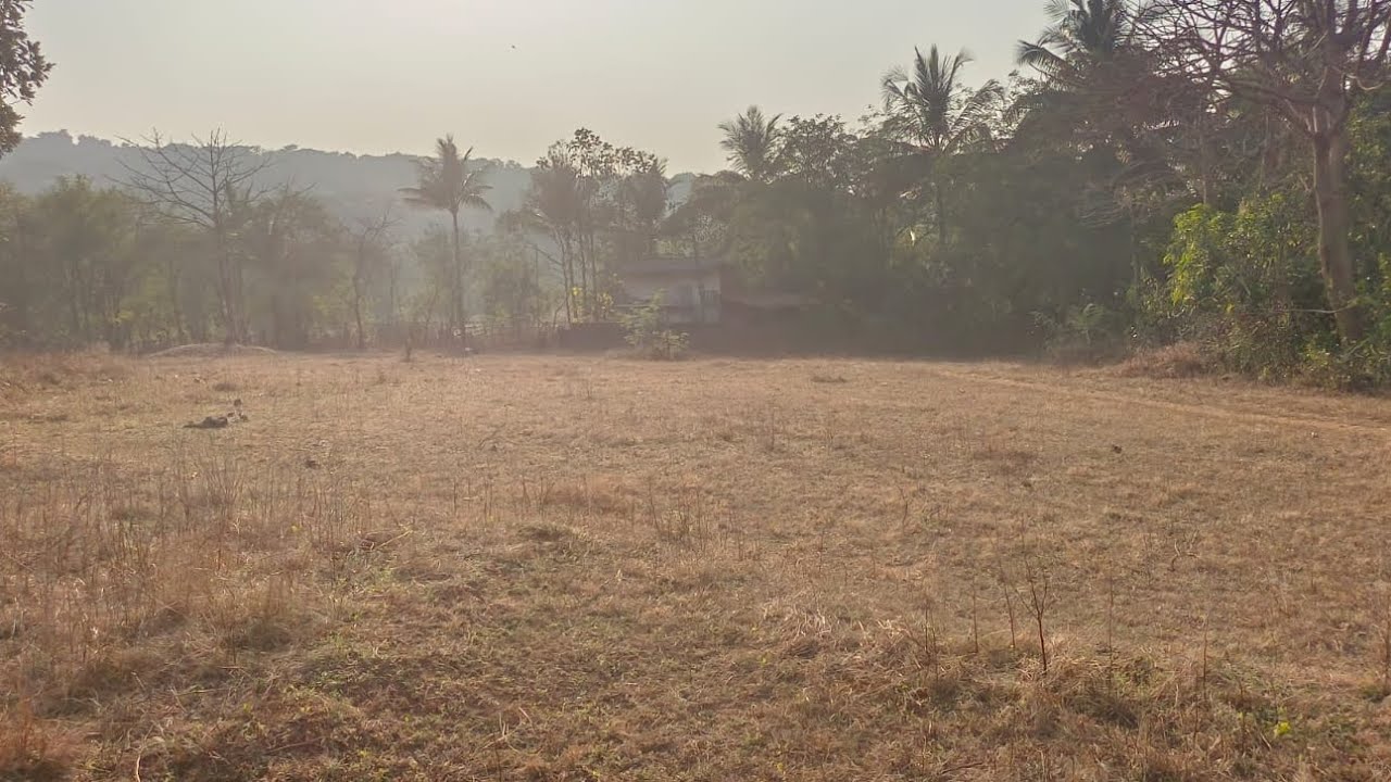 दापोली पासून 7km. वर उंबर्ले येथे 63 गुंठे जागा.