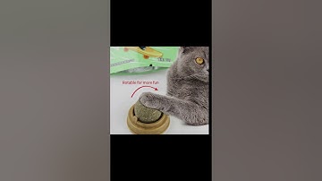 Wall-Mounted Catnip Ball – Stick-On Treat & Play Toy for Healthy, Happy Cats