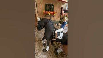 How my first horse died