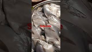 incredible Shrimp Fish shorts subscribe comment like viralvideo share