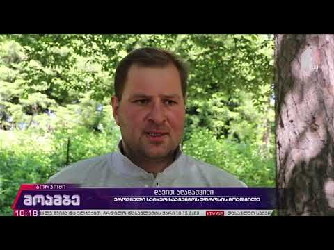 დასუფთავების აქცია გარემოსდაცვითი დღის აღსანიშნავად