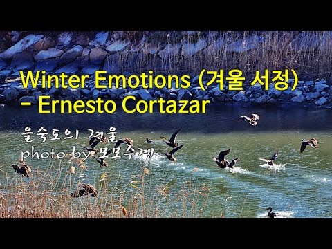 을숙도의 겨울 &amp;amp; Winter Emotions (겨울 <strong>서정</strong>) / Ernesto Cortazar &amp;amp; photo by 모모수계