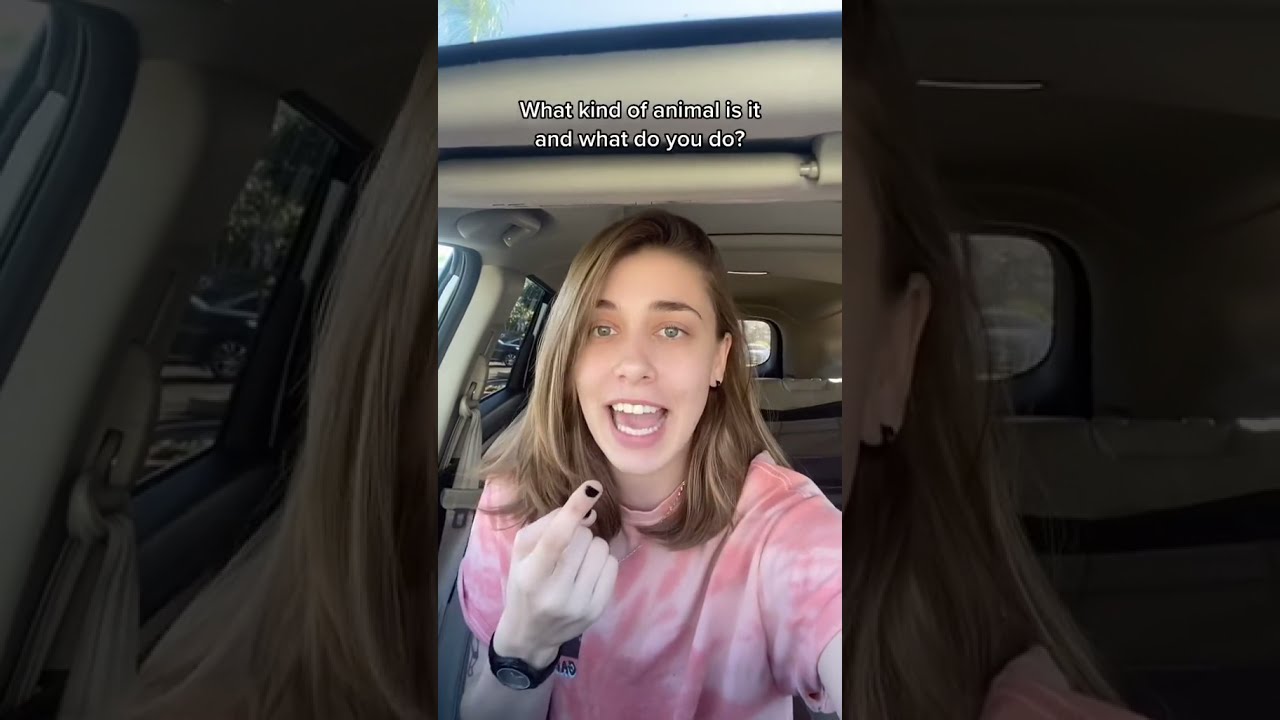 Psychology Test For Your Subconscious Mind | TikTok @onlyjayus