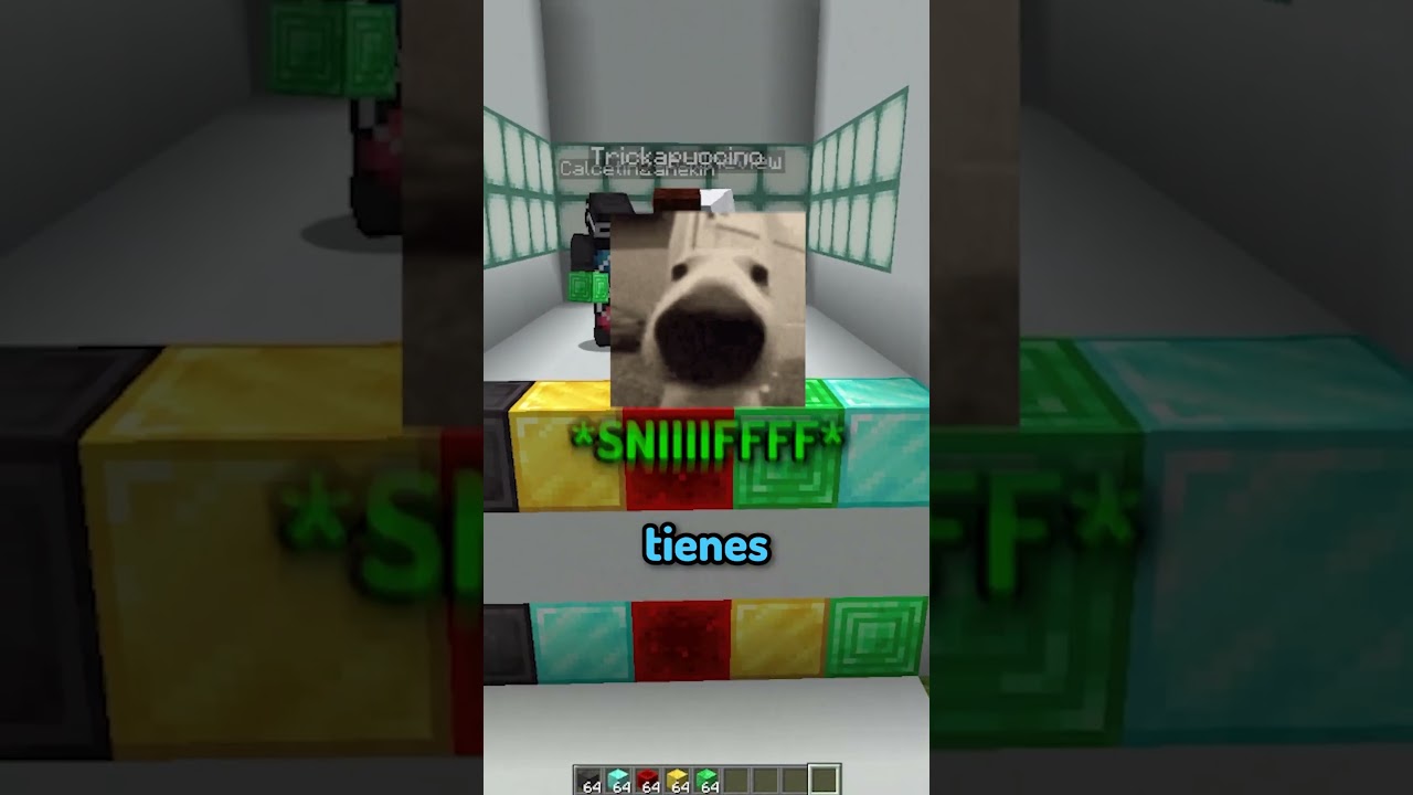 Adivina el color 1 #shorts #minecraft