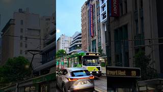 Melbourne Australia #tram #tramspotting #travel