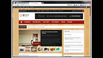 ThemeForest : CherryCustomBackground