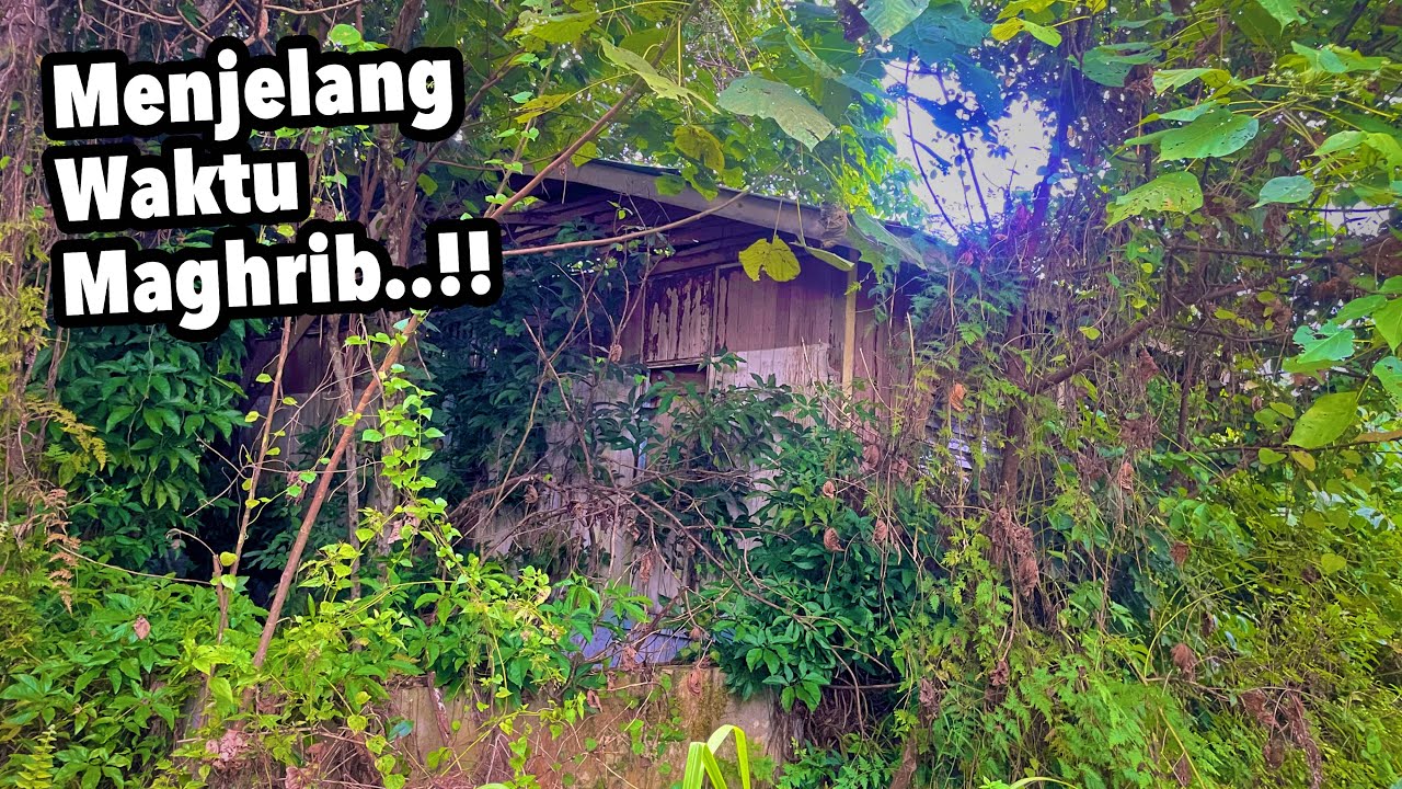 NEKAD MASUK TINGGALAN RUMAH DI HUTAN MENJELANG MAGHRIB! SIANG DAH CUKUP SERAM APALAGI MALAM