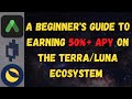 Beginner's Guide to Earning 50%+ APY on Terra/Luna using Anchor & Mirror