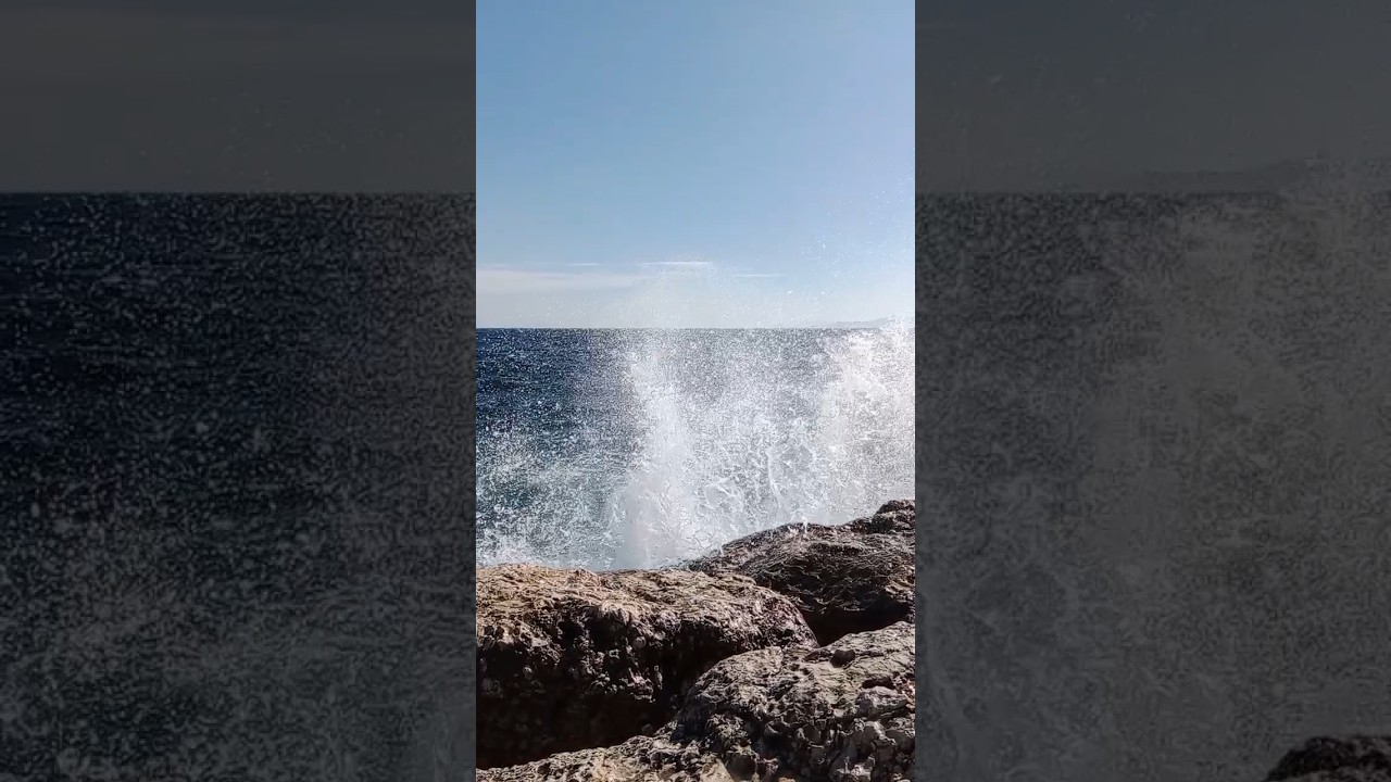 🌊 Sea Splash 🌊 