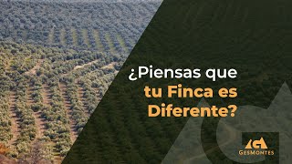 Las Fincas son más Similares que Diferentes