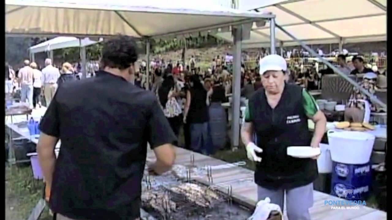 Miudiño -Traio unha borracheira Música tradicional Gallega