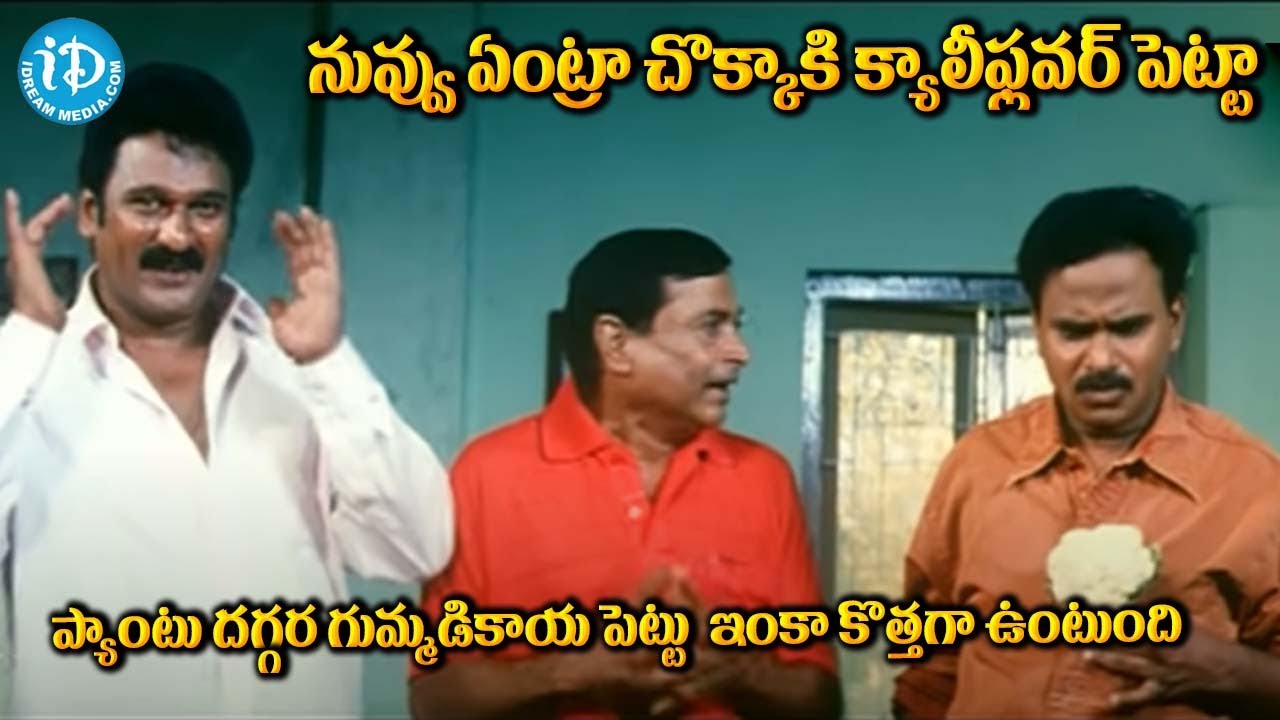 Paandu Movie Scene Jagapathi Babu Krishnabagavan Venumadhav Ms Narayana | iDream Adilabad