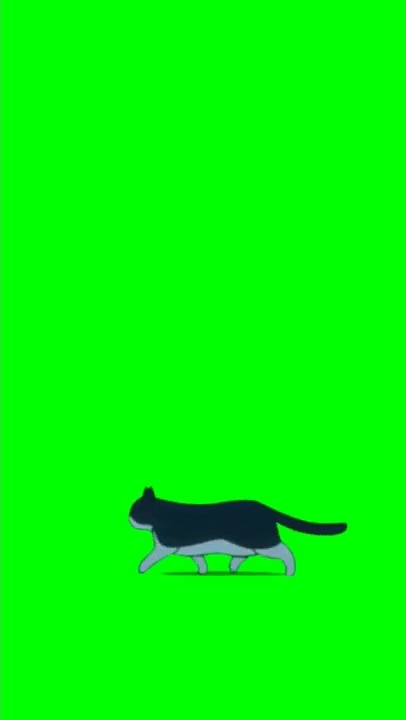 Green screen animation cat walking #cat #cats #shorts #viral #3d #tiktok #3danimation #2d #video