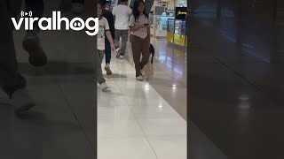 Dog Too Lazy To Walk In Mall || Viralhog