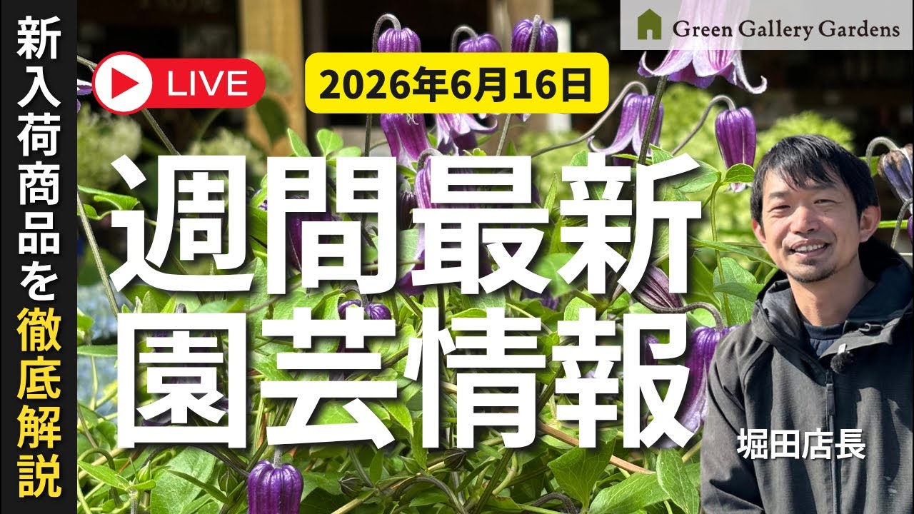 Latest News] Green Gallery Gardens New Arrivals for June 16th