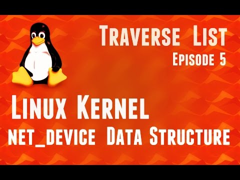 Linux Kernel net_device