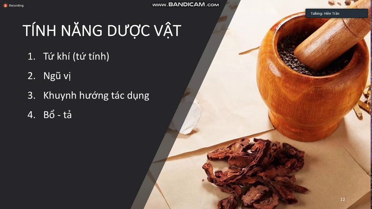 Giáo trình y học cổ truyền | Đại Cương Thuốc YHCT