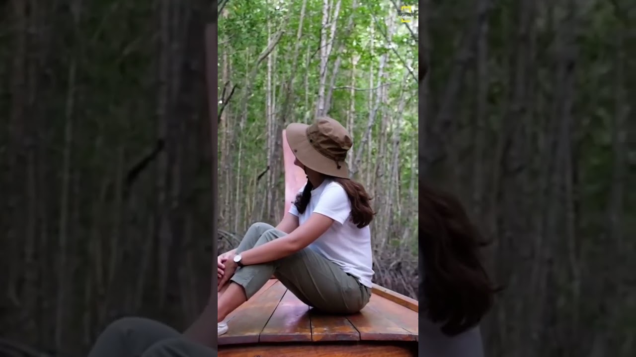 Unique things to do in Andaman😍 