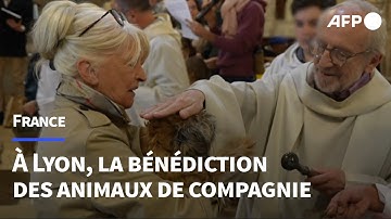 Des animaux de compagnie bénis dans une église lyonnaise | AFP