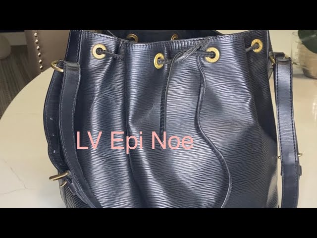 Neo Noe Canvas VS Epi Leather – Lux & Pups