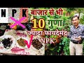 बाजार से 10 गुणा अधिक बढ़िया NPK घर पर ही बनाएं वो भी बिलकुल मुफ्त मे / Best Homemade NPK for Free