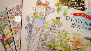 Small Amazon Japan Colouring book haul | Adult Colouring